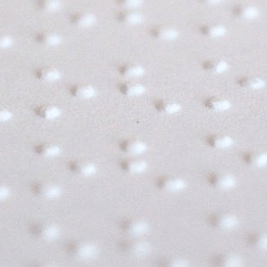 Braille Statement Dog Tags